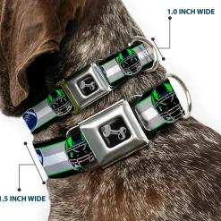 Dog Bone Black/Silver Seatbelt Buckle Collar - Football/Helmet Stripe2 Black/Neon Green/Silver/White/Blue