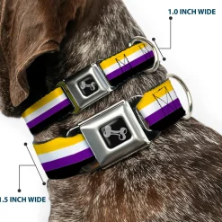 Dog Bone Black/Silver Seatbelt Buckle Collar - Flag Non-Binary Stripe