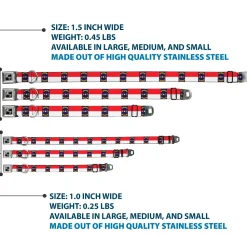 Dog Bone Black/Silver Seatbelt Buckle Collar - North Carolina Flag Continuous Repeat