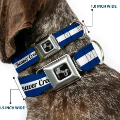 Dog Bone Black/Silver Seatbelt Buckle Collar - Colorado BEAVER CREEK Flag Blue/White/Red/Yellow