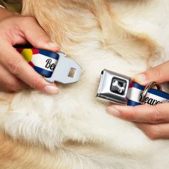 Dog Bone Black/Silver Seatbelt Buckle Collar - Colorado BEAVER CREEK Flag Blue/White/Red/Yellow