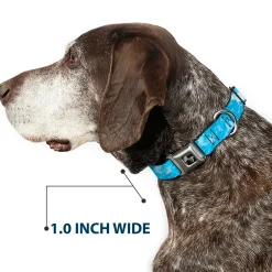 Dog Bone Black/Silver Seatbelt Buckle Collar - Ocean Vivid White Wash