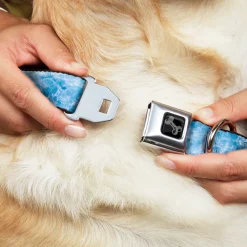 Dog Bone Black/Silver Seatbelt Buckle Collar - Ocean Vivid White Wash