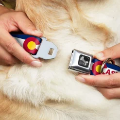Dog Bone Black/Silver Seatbelt Buckle Collar - Colorado CASTLE ROCK Flag Blue/White/Red/Yellows