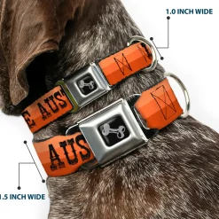 Dog Bone Black/Silver Seatbelt Buckle Collar - Dallas-Raleigh-Tennessee-Austin-Boston Stripes Browns/Black