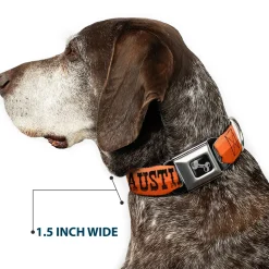 Dog Bone Black/Silver Seatbelt Buckle Collar - Dallas-Raleigh-Tennessee-Austin-Boston Stripes Browns/Black
