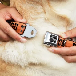 Dog Bone Black/Silver Seatbelt Buckle Collar - Dallas-Raleigh-Tennessee-Austin-Boston Stripes Browns/Black