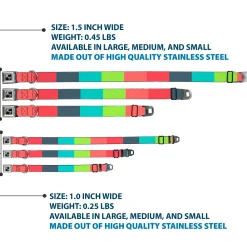 Dog Bone Black/Silver Seatbelt Buckle Collar - Summer Essentials Color Block 8