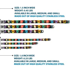 Dog Bone Black/Silver Seatbelt Buckle Collar - Painted Sugar Skulls & Flowers Collage