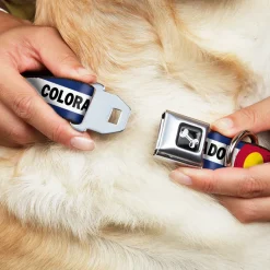 Dog Bone Black/Silver Seatbelt Buckle Collar - COLORADO Text Flag Blue/White/Red/Yellow