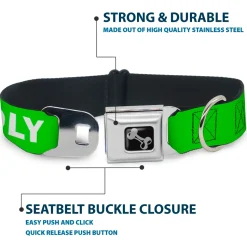 Dog Bone Black/Silver Seatbelt Buckle Collar - Pet Quote FRIENDLY Green/White