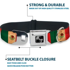 Dog Bone Black/Silver Seatbelt Buckle Collar - Mexico Flag Continuous Vintage