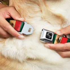 Dog Bone Black/Silver Seatbelt Buckle Collar - Mexico Flag Continuous Vintage