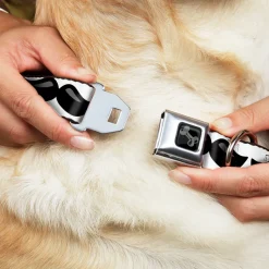 Dog Bone Black/Silver Seatbelt Buckle Collar - Plastic Mustache White/Black