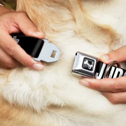 Dog Bone Black/Silver Seatbelt Buckle Collar - DON'T JUDGE ME Black/White