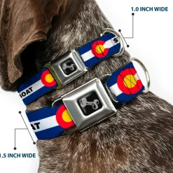 Dog Bone Black/Silver Seatbelt Buckle Collar - Colorado STEAMBOAT Flag Blue/White/Red/Yellow