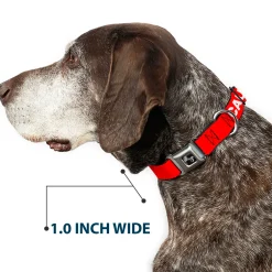 Dog Bone Black/Silver Seatbelt Buckle Collar - Pet Quote CAUTION Red/White