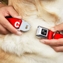 Dog Bone Black/Silver Seatbelt Buckle Collar - Pet Quote CAUTION Red/White