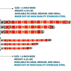 Dog Bone Black/Silver Seatbelt Buckle Collar - Canada Flag Continuous Vintage