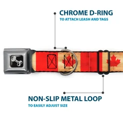 Dog Bone Black/Silver Seatbelt Buckle Collar - Canada Flag Continuous Vintage