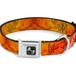 Dog Bone Seatbelt Buckle Collar - Vivid Floral Collage Orange-Pinks