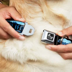 Dog Bone Seatbelt Buckle Collar - CALIFORNIA REPUBLIC/Bear/Stars Silhouette Black/Scenic Mountains