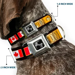 Dog Bone Seatbelt Buckle Collar - CHAMPION Belt/Flags/Stars Black/Golds