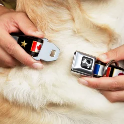 Dog Bone Seatbelt Buckle Collar - CHAMPION Belt/Flags/Stars Black/Golds