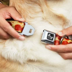 Dog Bone Seatbelt Buckle Collar - Pepperoni Pizza Vivid