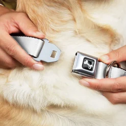 Dog Bone Seatbelt Buckle Collar - DJ Skulls Up/Down Black/Red