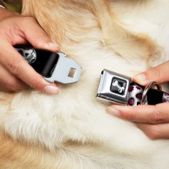 Dog Bone Seatbelt Buckle Collar - Sugar Skulls Scattered Black/White/Fuchsia
