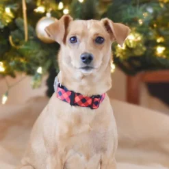 Dog Bone Seatbelt Buckle Collar - Diagonal Buffalo Plaid Black/Red