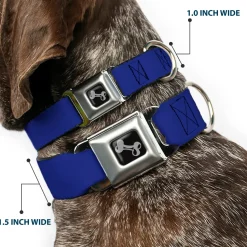 Dog Bone Seatbelt Buckle Collar - Royal