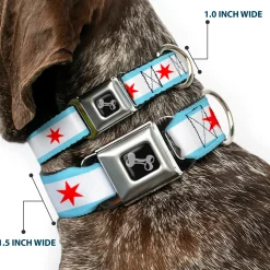 Dog Bone Seatbelt Buckle Collar - Chicago Flag