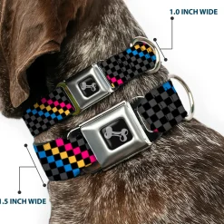 Dog Bone Seatbelt Buckle Collar - Checker Stripe Black/Gray/Blue/Gold/Pink