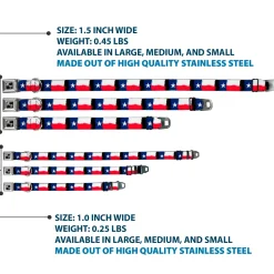 Dog Bone Seatbelt Buckle Collar - Texas Flag Painting