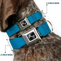 Dog Bone Seatbelt Buckle Collar - Vivid Turquoise