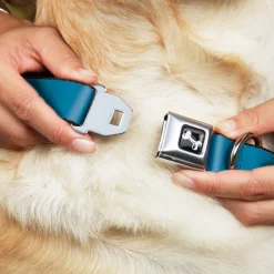 Dog Bone Seatbelt Buckle Collar - Vivid Turquoise