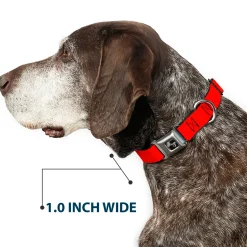 Dog Bone Seatbelt Buckle Collar - Red