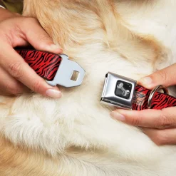 Dog Bone Seatbelt Buckle Collar - Zebra 2 Red