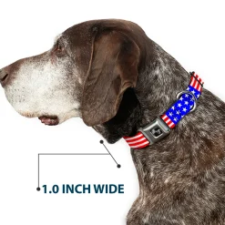 Dog Bone Seatbelt Buckle Collar - Americana Stars & Stripes2 Red/White/Blue