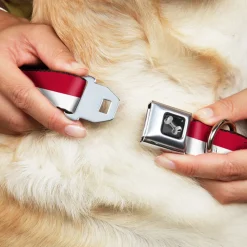 Dog Bone Seatbelt Buckle Collar - North Carolina Flag Stripe Red/White