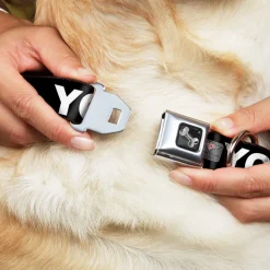 Dog Bone Seatbelt Buckle Collar - YOLO Black/White
