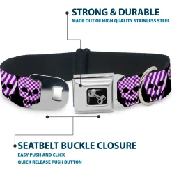 Dog Bone Seatbelt Buckle Collar - Checker & Stripe Skulls Black/White/Purple