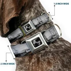 Dog Bone Seatbelt Buckle Collar - Vivid SANTA MONICA Pier Skyline Grays/White