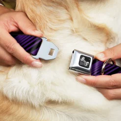 Dog Bone Seatbelt Buckle Collar - Diagonal Stripes Black/Purple