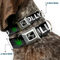 Dog Bone Seatbelt Buckle Collar - HOLLYWEED Sign Skyline/Pot Leaf Black/Grays/White/Green