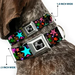 Dog Bone Seatbelt Buckle Collar - Stargazer Black/Multi Color