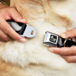 Dog Bone Seatbelt Buckle Collar - Mustaches Black/Sketch