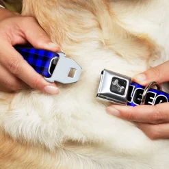 Dog Bone Seatbelt Buckle Collar - EAT SLEEP SKATE Buffalo Plaid Blue